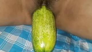 Desi Bhabhi  Big 10 Inches ???? Khira Se Apna Payas Bhujaya India Female Masturbations Dildo Enjoyed Bihar  India Sex