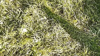 I gave my neighbor flowers, and she thanked me with cunnilingus - Lesbian-candys