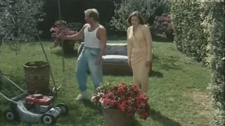 The Warm Daily Instincts