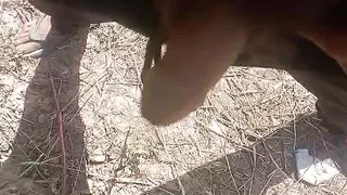 A strainger walking in place caught by me pissing