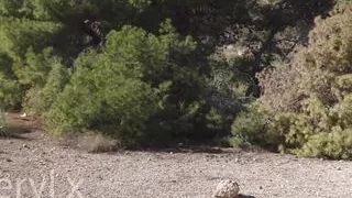 Outdoor Yoga in Pantyhose in the Forest