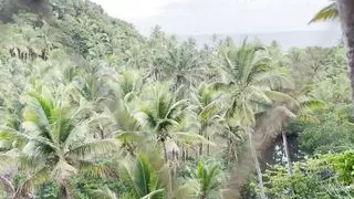 I Fucked the Most Perfect Ass on a Trip and Put My Dick Deep Inside - Amateur Sassyandruphus