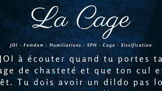 JOI for a caged guy who has to dildo his ass   French Audio Porn