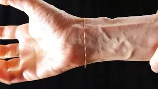 Veins Fetish