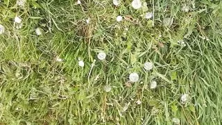 During lunch break, village girl masturbates her pussy - Lesbian-candys