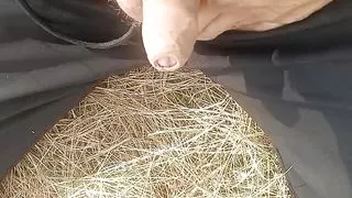 Oh small penis pee cumshort in jungle