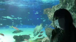 0005543_イチャイチャ セックス ガニ股騎乗位 ほか