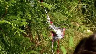 Dream Girl Fantasy 3 (Full Movie)