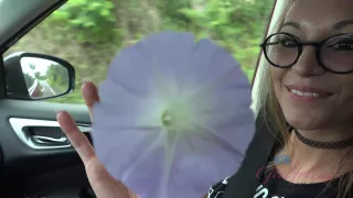 Virtual Vacation In Hawaii With Moka Mora Part 3