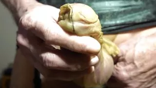 Latexrock- Nylonstock