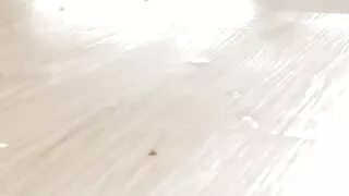 Hear him cum and listen close. HE SQUIRTS with his toy EDGING you can hear the pressure release