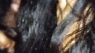 Desi wife blowjob her husband