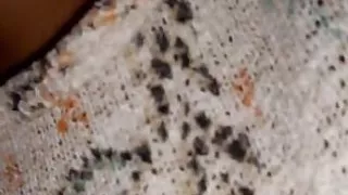 Chilean sucking blowjob bitch rich tongue sucked rich beak