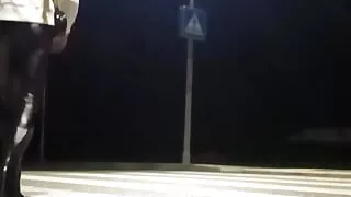 House down on zebra crossings