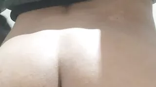 Movement of the Ass at Night