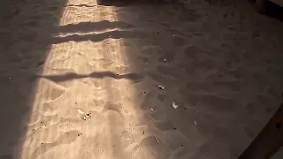 Schwarzhaariges Girl vom Strand hart gevögelt