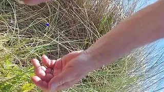 A walk through the dunes