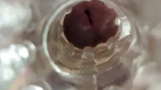 Multiple thick cumshots