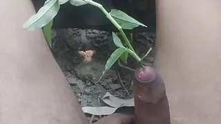 Bachelor's fat fresh cock sex video in Uttar Pradesh