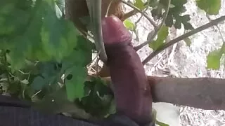 Bachelor boy sex mms viral Uttar Pradesh