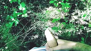 I drain sperm in the forest near houses