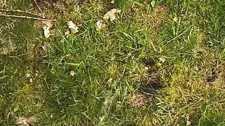 Naked walk in woods for almost an hour got me horny, huge cumshot near end