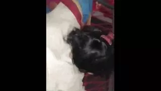 Doggy style girlfriend