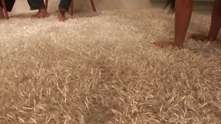 Threesome sex party with a horny dark skin with big breasts