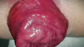 Anal Compilation Vol. 2