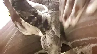 Indian Hot boy with Big Black Dick erection  Any girl wanna taste it and suck my dick till I cum