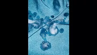 New video 2024-05-29 12:35:18