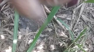 Bachelor boy tree in forest sex video