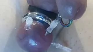 saline injection penis and needles through balls in bdsm cbt games
