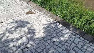 A day of relaxed panties and cameltoe displayed