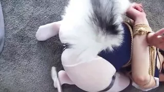 Cat Slave Girlfriend 01