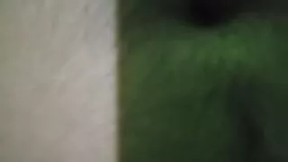 Koi gand marega please