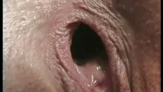 OPERAZIONE CULI APERTI (Full Movie)