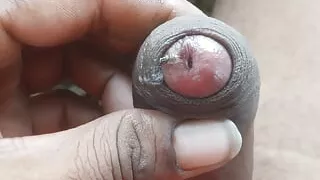 Jungal ka mota lund    indian lund boy