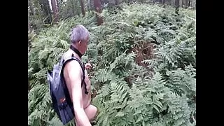 Just A Walk In The Woods