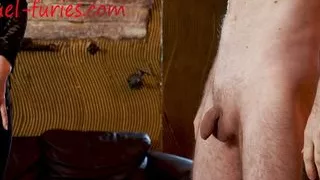 Good Boy Ready to Serve for Hot Brunette Mistress