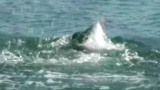 Perfect French MILF assfucked on the beach