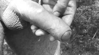 Forest PEE Grayscale