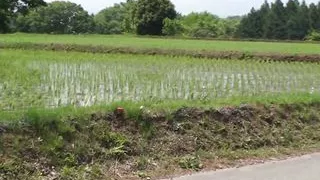 Cute mature woman Even though I'm old. I like MILFs who are cute and pretty 04