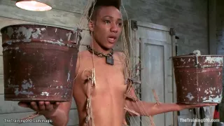 Ebony Bound In Web Of Zippers