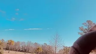 Dick swinging in public