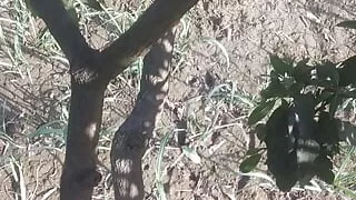 Best sex video with xhamster 720p hd video hindi sex