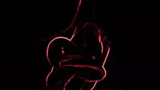 GatitaDelNorte video