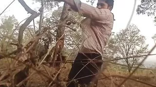 Black belt man kung-fu in jungle with his cute little tits