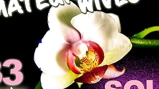 Wifebucket presents 33 minutes of our hottest REAL wives and girlfriends being naughty in their solo time