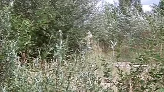 Get ready for a fantastic outdoors show